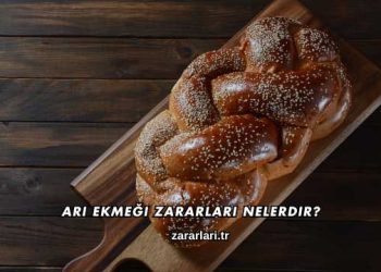 Arı Ekmeği Zararları Nelerdir?