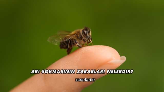 Arı Sokmasının Zararları Nelerdir?