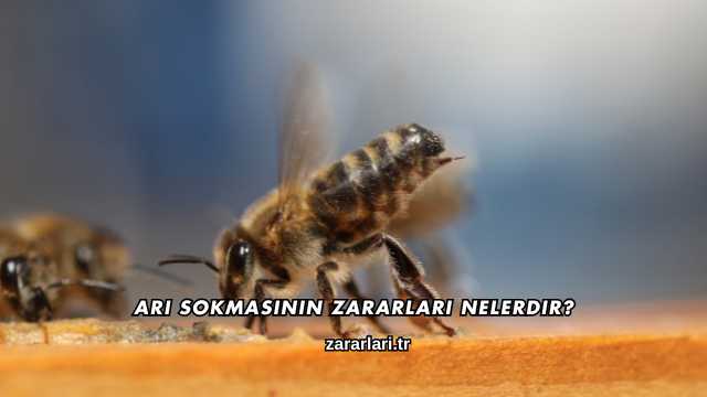Arı Sokmasının Zararları Nelerdir?