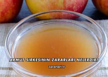 Armut Sirkesinin Zararları Nelerdir?