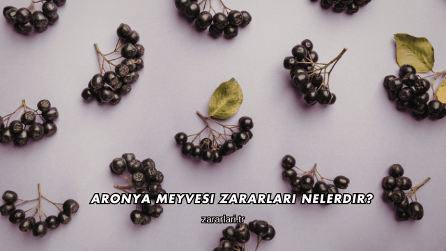 Aronya Meyvesi Zararları Nelerdir?
