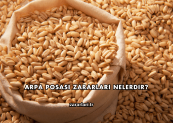 Arpa Posası Zararları Nelerdir?