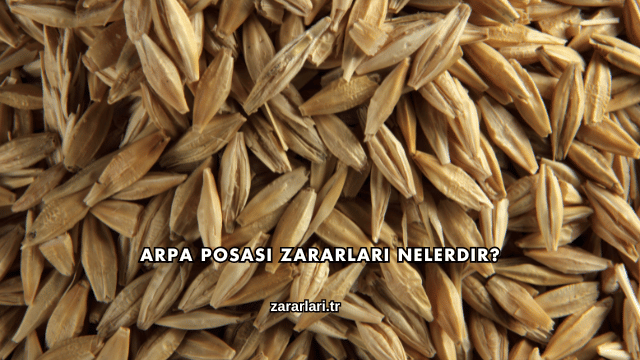 Arpa Posası Zararları Nelerdir?