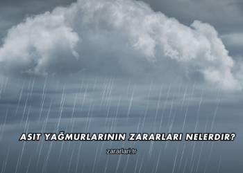 Asit Yağmurlarının Zararları Nelerdir?