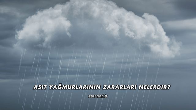 Asit Yağmurlarının Zararları Nelerdir?