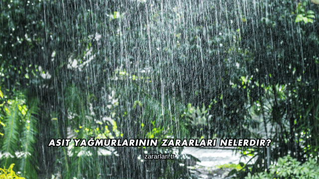 Asit Yağmurlarının Zararları Nelerdir?