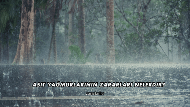 Asit Yağmurlarının Zararları Nelerdir?