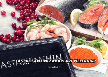Astaksantin Zararları Nelerdir?