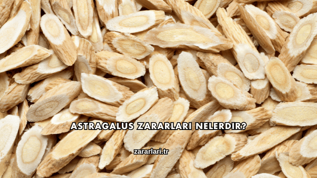 Astragalus Zararları Nelerdir?