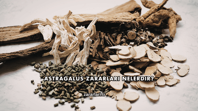 Astragalus Zararları Nelerdir?