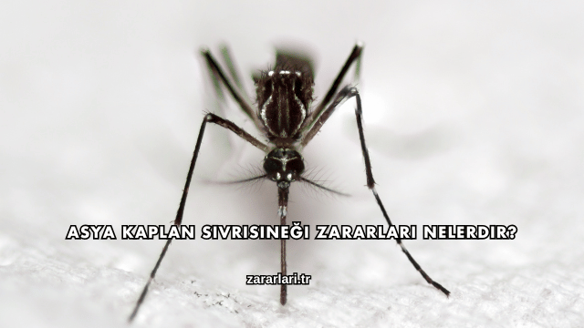 Asya Kaplan Sivrisineği Zararları Nelerdir?