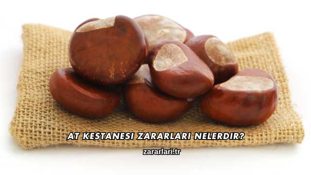 At Kestanesi Zararları Nelerdir?