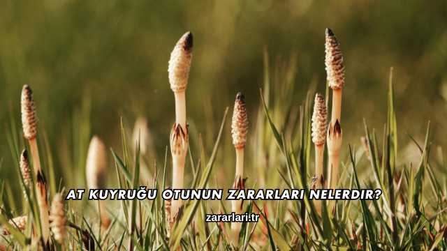 At Kuyruğu Otunun Zararları Nelerdir?