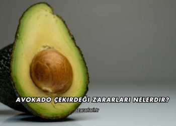 Avokado Çekirdeği Zararları Nelerdir?