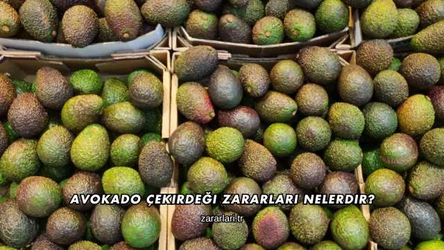 Avokado Çekirdeği Zararları Nelerdir?
