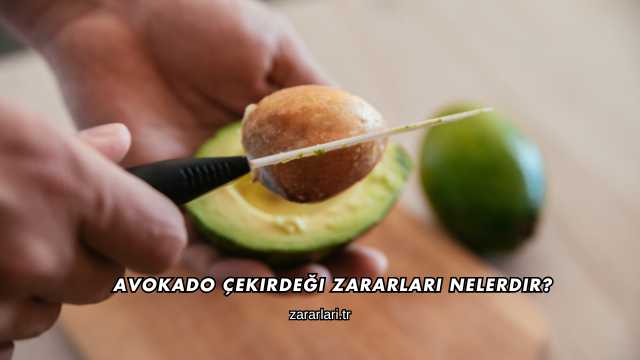 Avokado Çekirdeği Zararları Nelerdir?