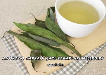 Avokado Yaprağı Çayı Zararları Nelerdir?