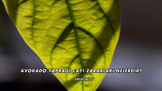 Avokado Yaprağı Çayı Zararları Nelerdir?