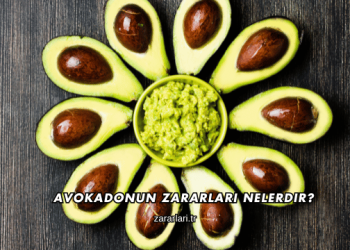 Avokadonun Zararları Nelerdir?