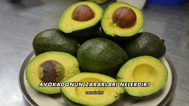Avokadonun Zararları Nelerdir?