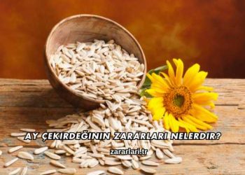 Ay Çekirdeğinin Zararları Nelerdir?