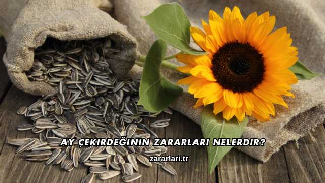 Ay Çekirdeğinin Zararları Nelerdir?