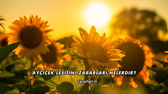 Ayçiçek Lesitini Zararları Nelerdir?