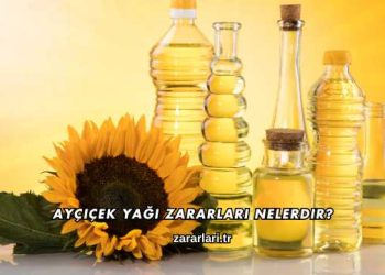 Ayçiçek Yağı Zararları Nelerdir?