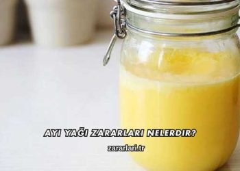 Ayı Yağı Zararları Nelerdir?