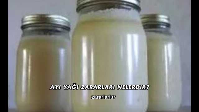 Ayı Yağı Zararları Nelerdir?