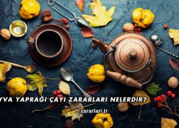 Ayva Yaprağı Çayı Zararları Nelerdir?