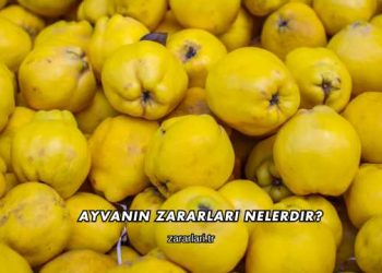 Ayvanın Zararları Nelerdir?