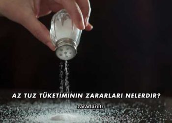 Az Tuz Tüketiminin Zararları Nelerdir?