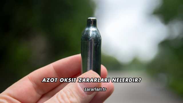 Azot Oksit Zararları Nelerdir?