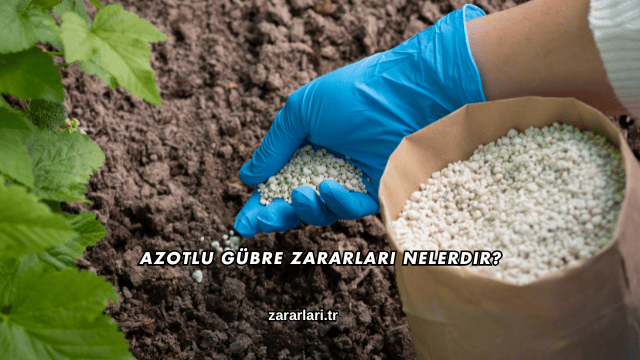 Azotlu Gübre Zararları Nelerdir?