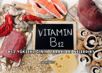B12 Yüksekliğinin Zararları Nelerdir?