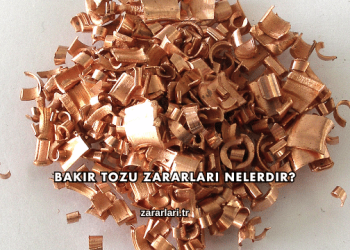 Bakır Tozu Zararları Nelerdir?