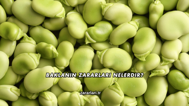 Baklanın Zararları Nelerdir?