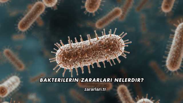 Bakterilerin Zararları Nelerdir?
