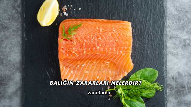Balığın Zararları Nelerdir?