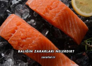 Balığın Zararları Nelerdir?