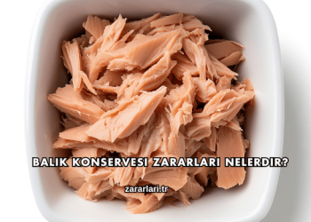 Balık Konservesi Zararları Nelerdir?