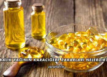 Balık Yağının Karaciğere Zararları Nelerdir?