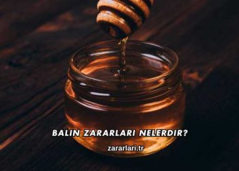 Balın Zararları Nelerdir?