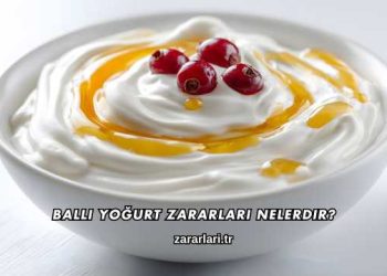 Ballı Yoğurt Zararları Nelerdir?