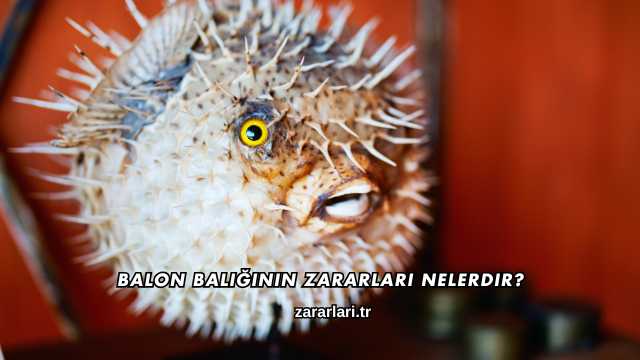 Balon Balığının Zararları Nelerdir?