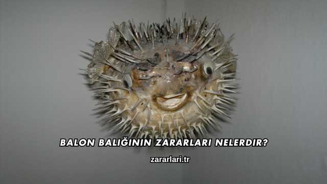Balon Balığının Zararları Nelerdir?