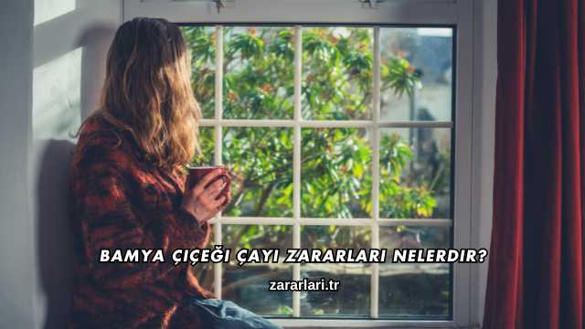 Bamya Çiçeği Çayı Zararları Nelerdir?