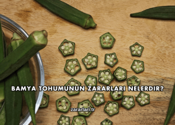 Bamya Tohumunun Zararları Nelerdir?