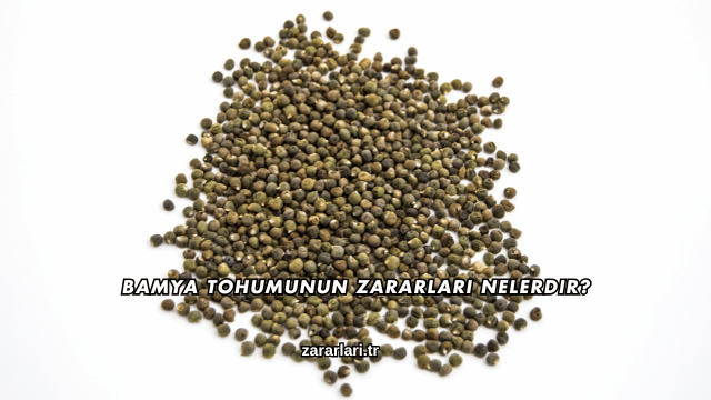 Bamya Tohumunun Zararları Nelerdir?